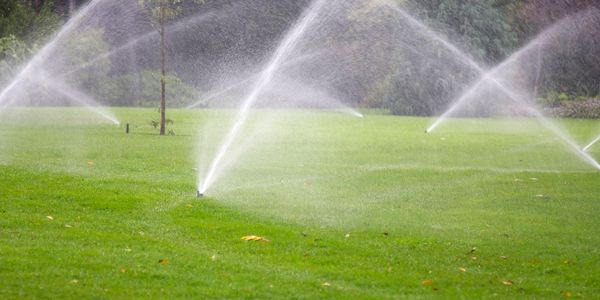 Decorative image showing sprinklers spraying water. 