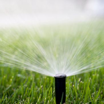 Fertilizing Healthy Turf Irrigation