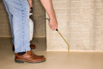 Person spraying pesticide along a wall base.