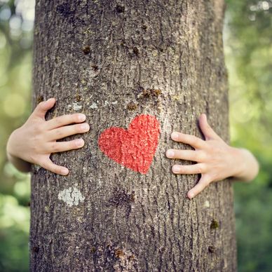 Two hands hugging a tree with a heart painted on it
