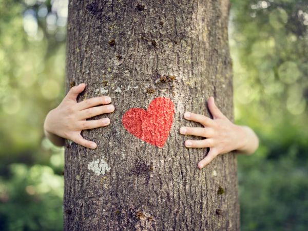 Hands hugging a tree with a red heart painted on it.