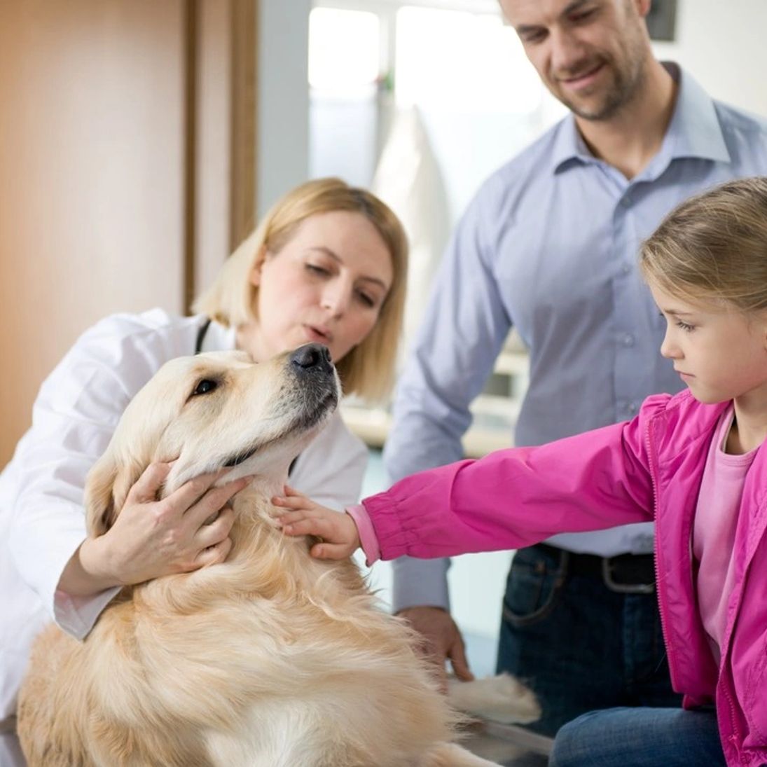 Eastland Animal Clinic