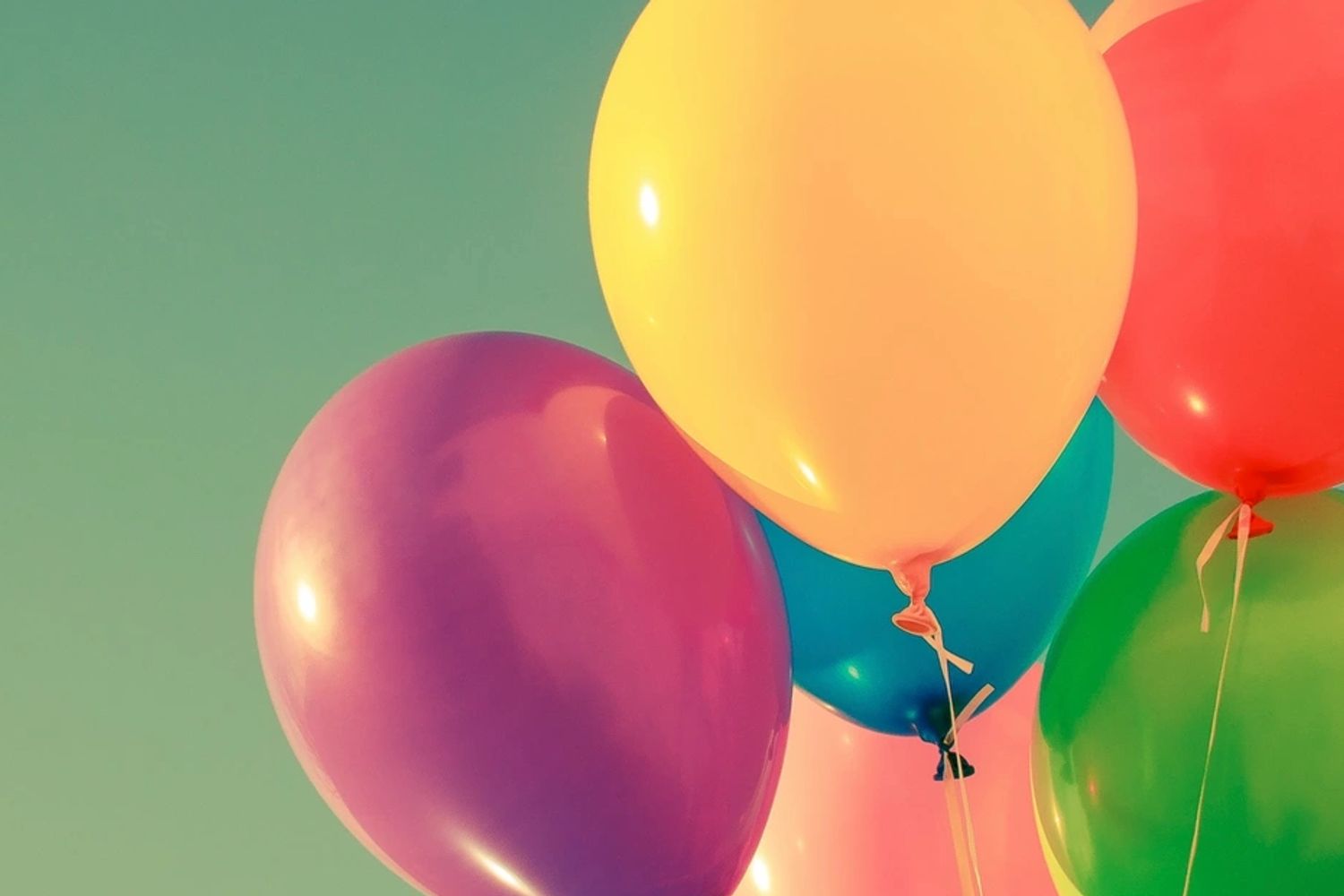 Personal Care Diaper Ladies