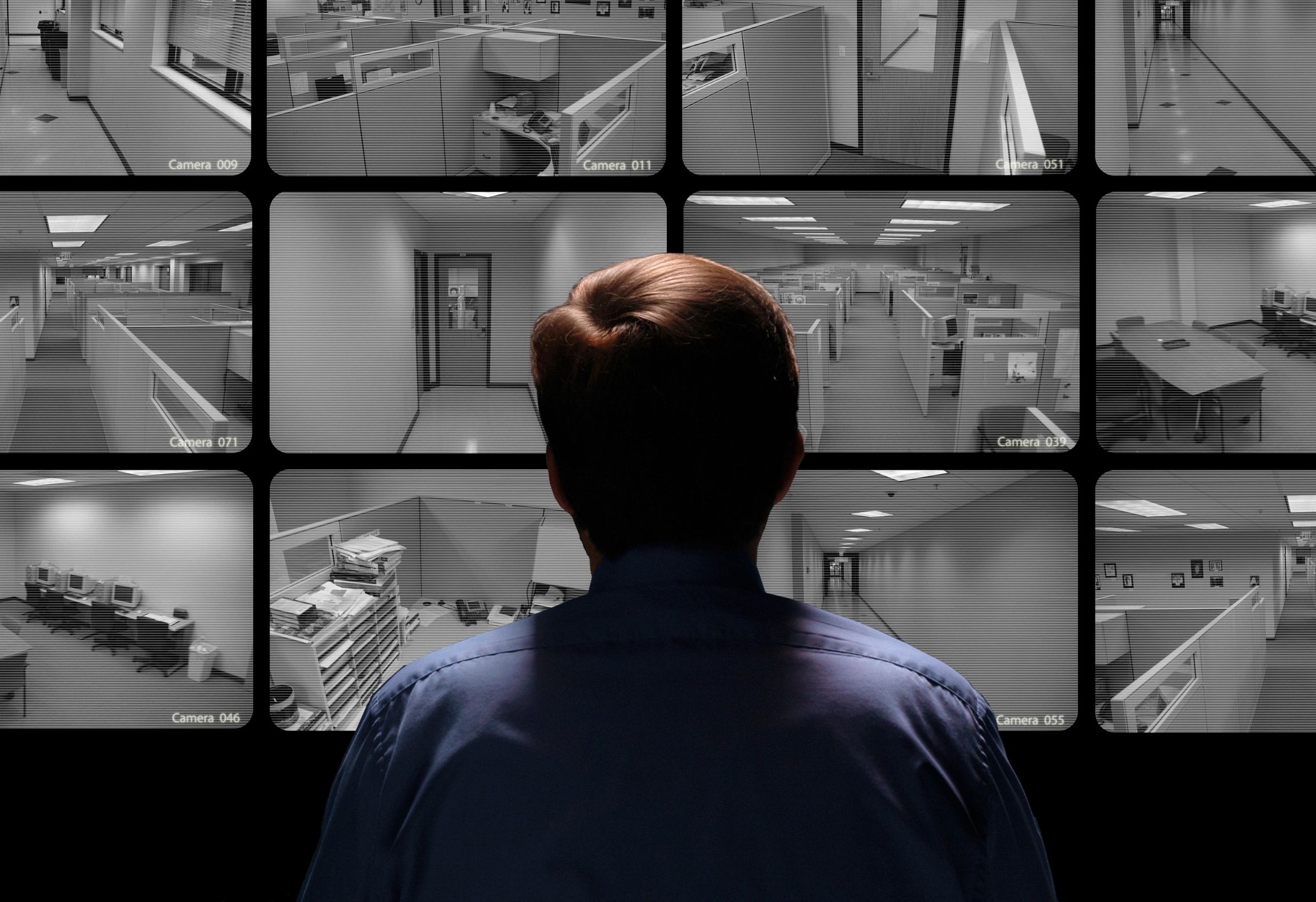 Camera Monitoring System for Business