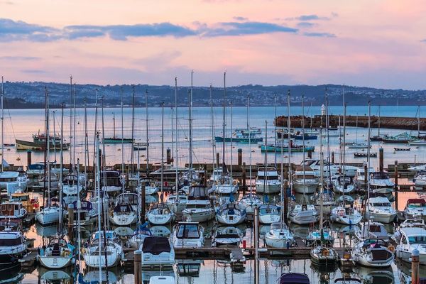 Marina filled with sailboats at sunset with calm water.