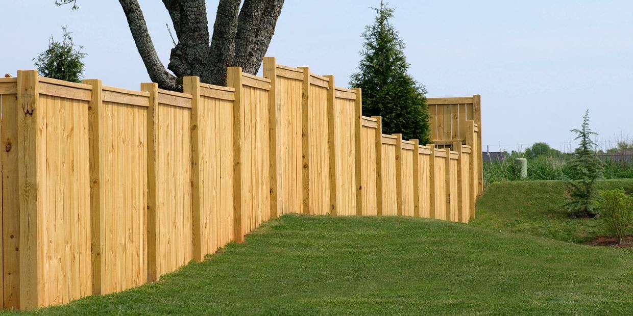 Newly built wooden fence.