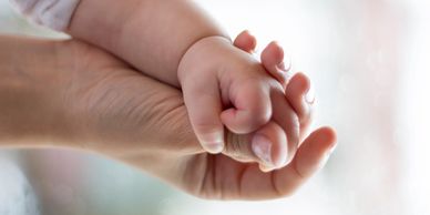 A parent and toddler holding hands. 