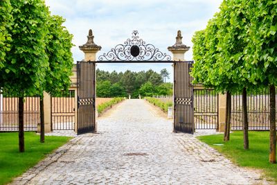 Photo of iron gate, pathway and trees. 