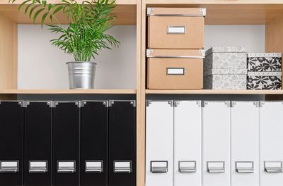 Organized black and white folders with storage boxes and a plant on wooden shelves.