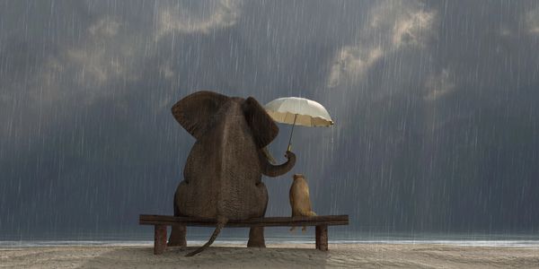 Shore Integrated Counseling Rainy Day