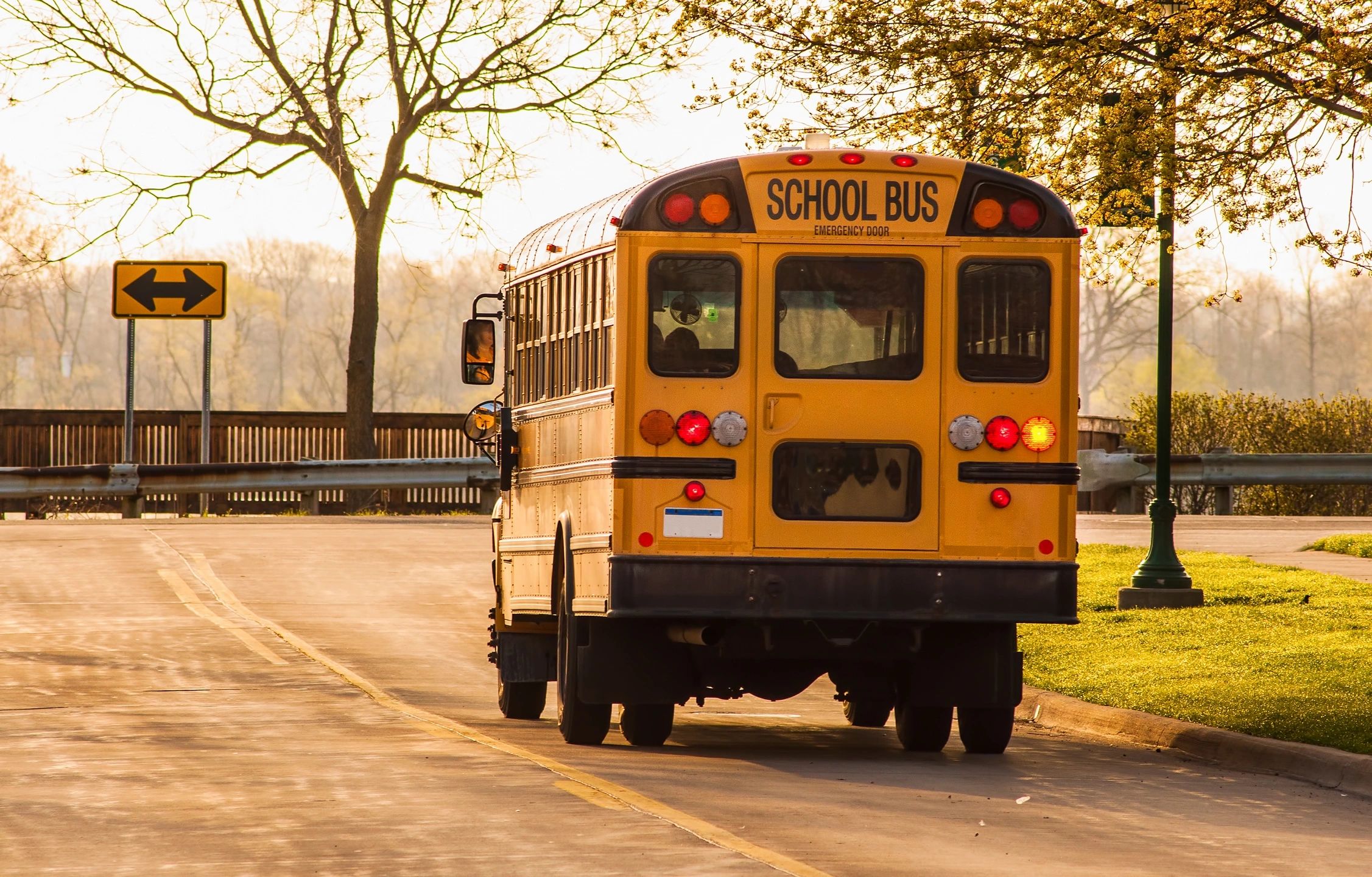 school bus driving down the road