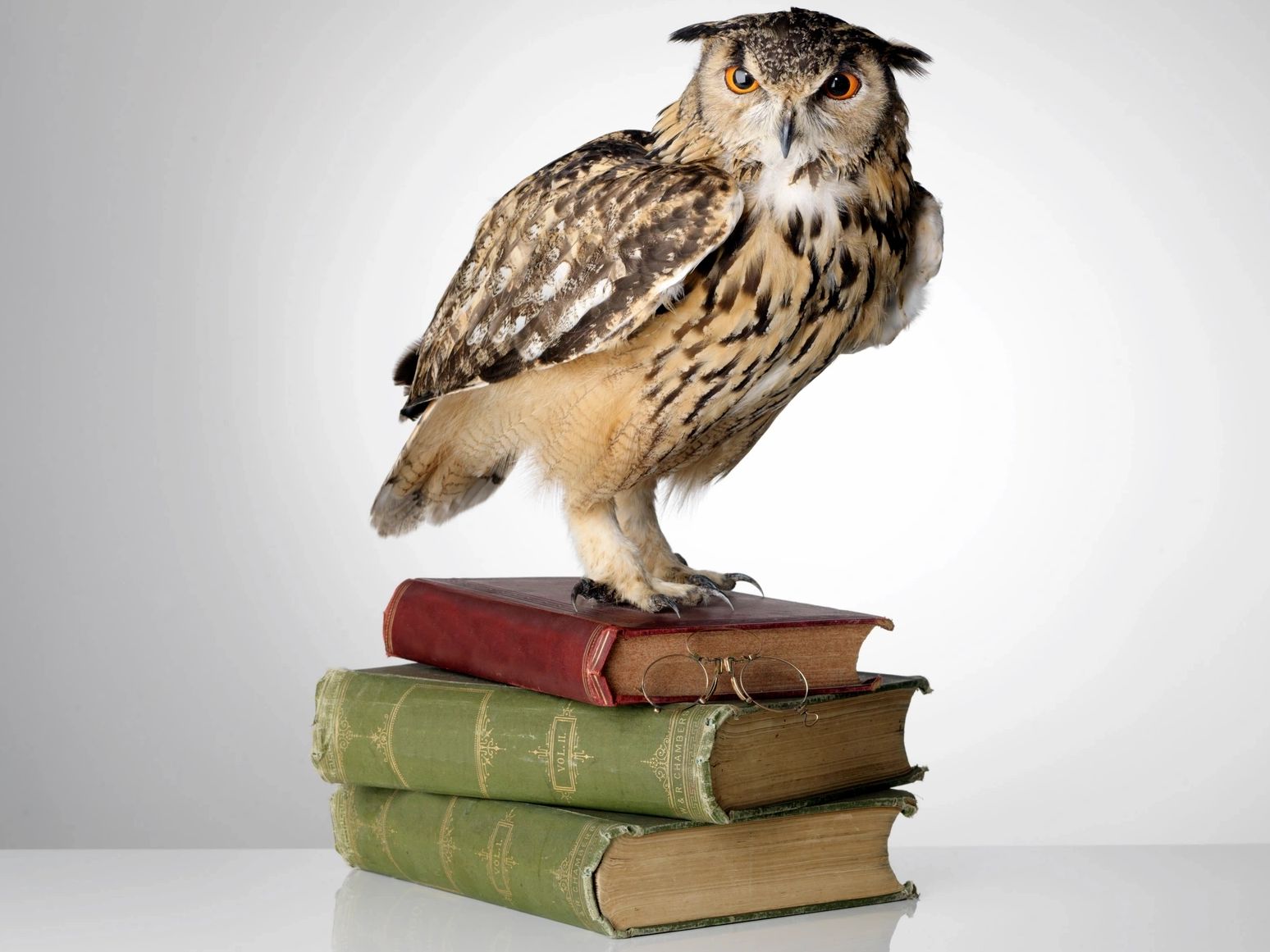 An owl perched on a stack of old books with glasses.