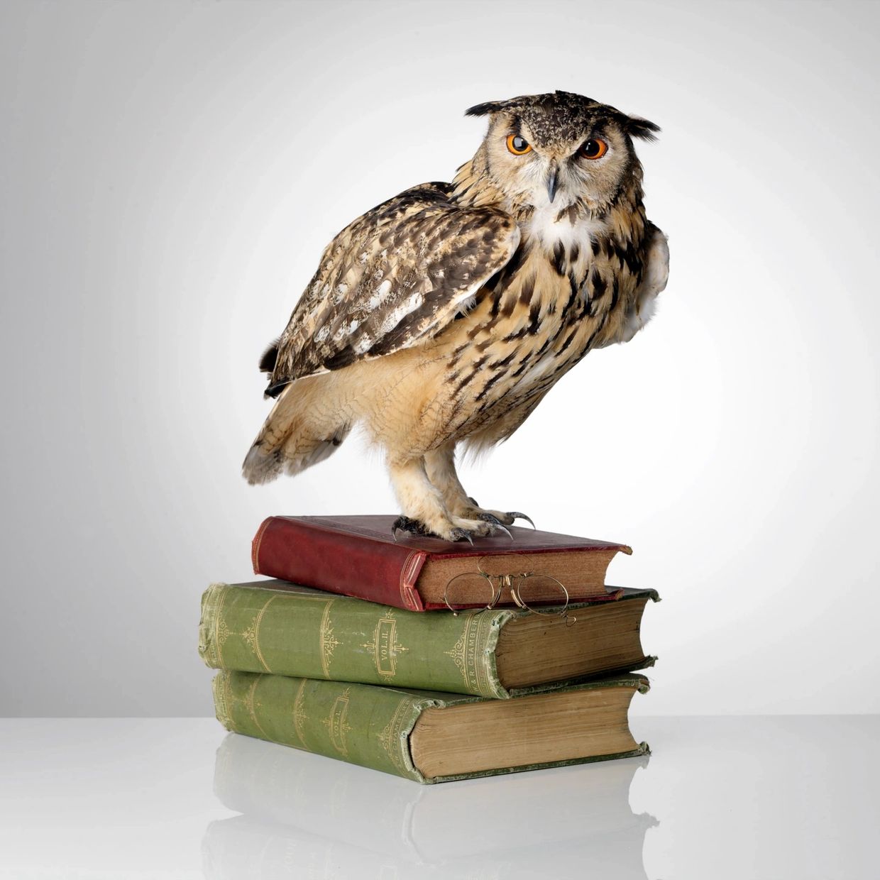 An owl perched on a stack of old books with glasses.