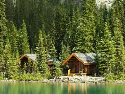 Two wooden cabins nestled among tall pine trees by a tranquil lake.