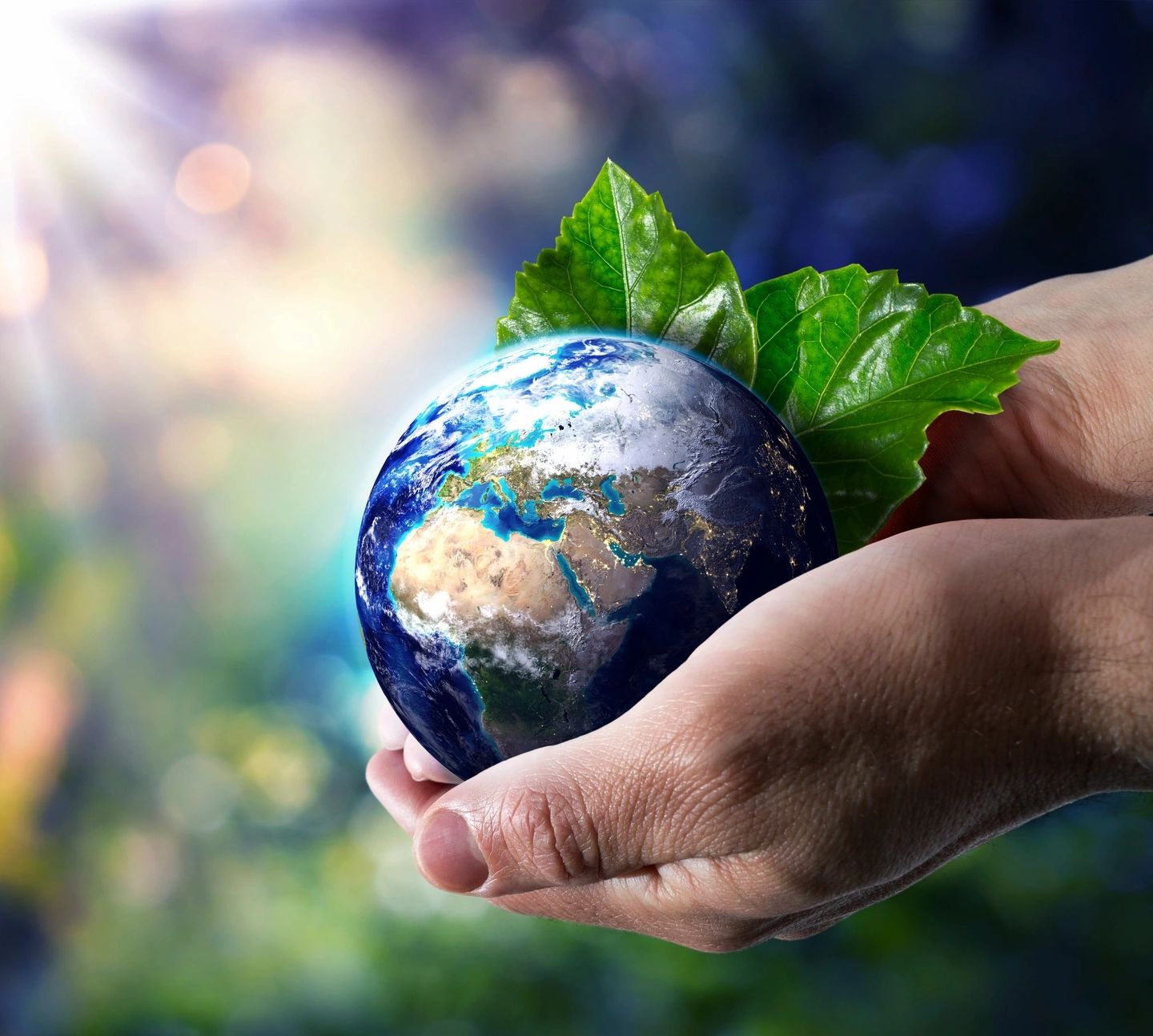 hands holding image of planet earth with leaves