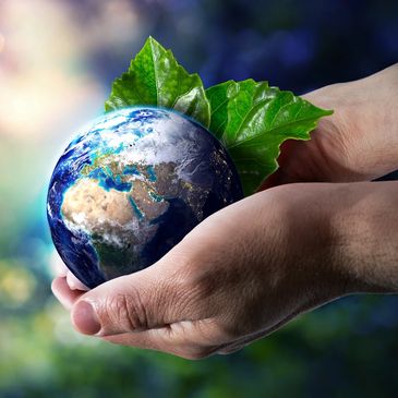Hands holding Earth with green leaves symbolizing environmental care.