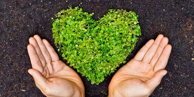 Sustainable 