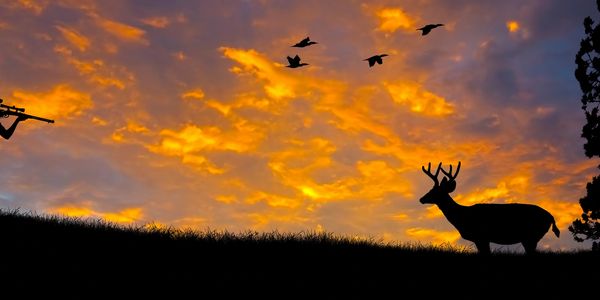 Deer Hunter Pointing Rifle at a Trophy Buck Deer