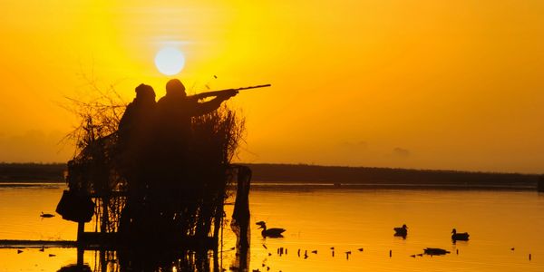 Duck hunting at Reelfoot Lake.