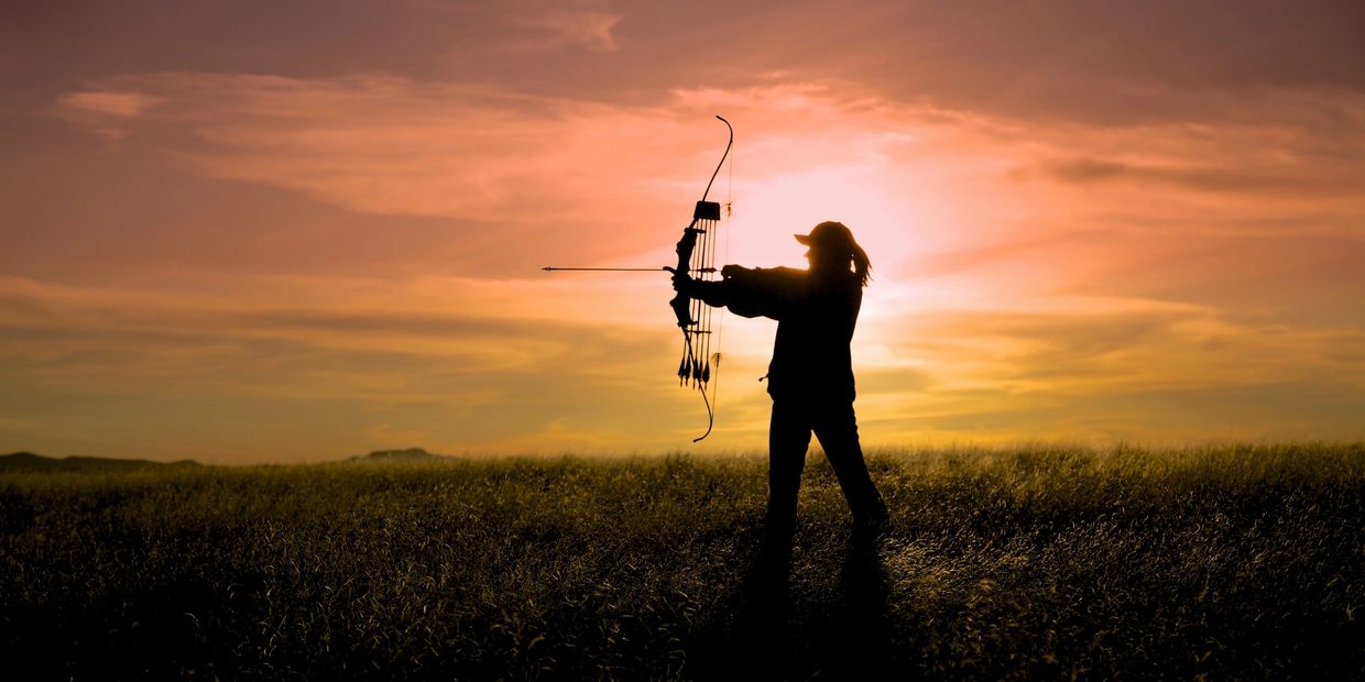 We foster, expand, promote and perpetuate the practice of field archery and any other archery games