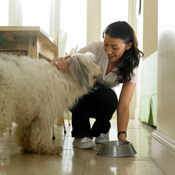 Woman kneeling to feed her large, fluffy dog indoors.