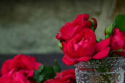 Close-up of vibrant red roses in a decorative glass vase.