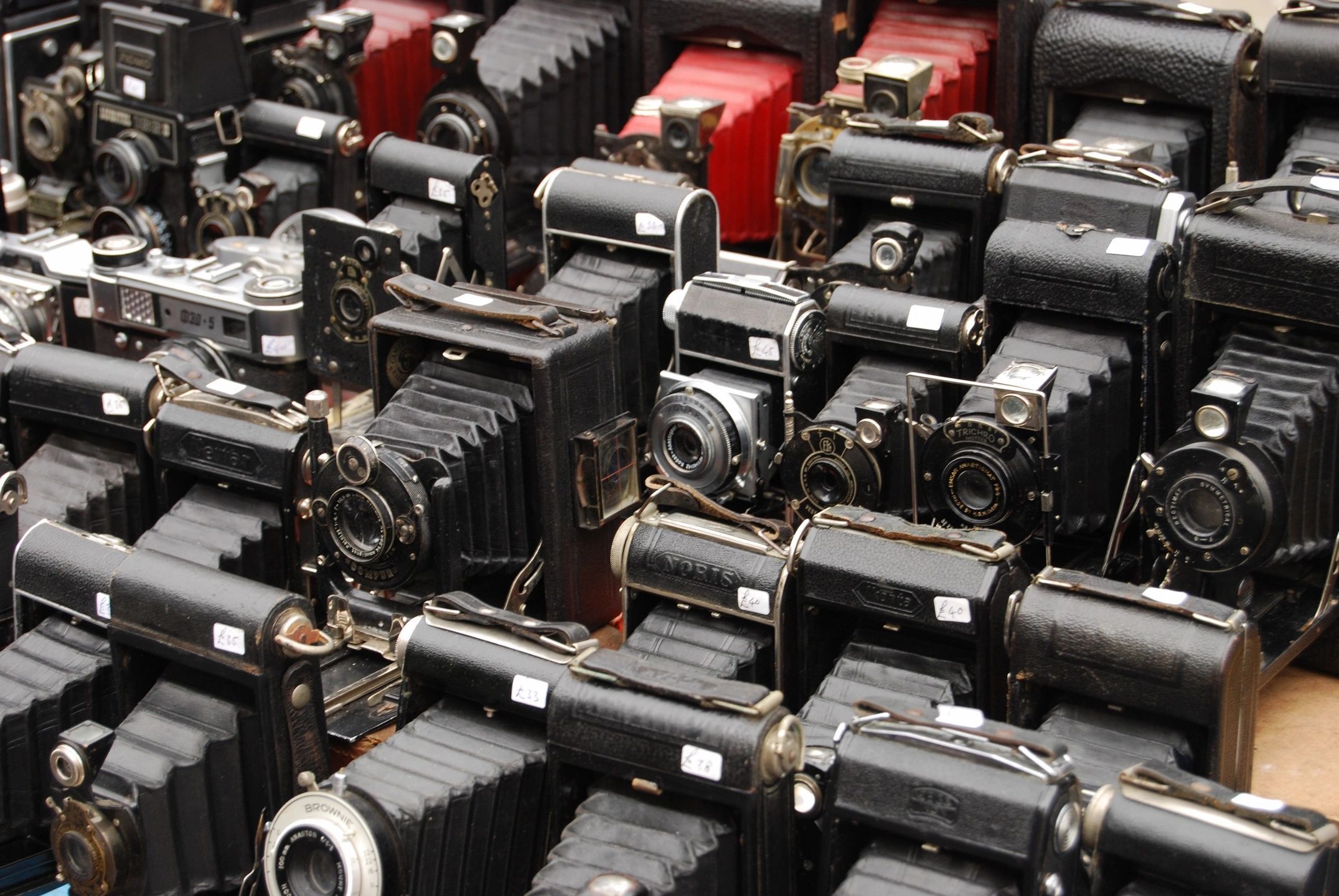Collection of vintage cameras.
