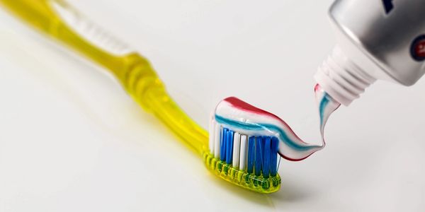 Anti-cavity fluoride toothpaste is applied to show proper brushing technique.