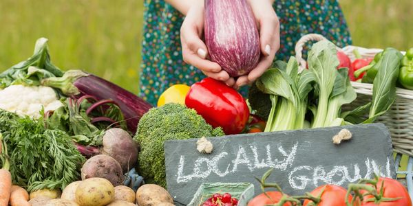 Beautiful vegetables locally grown