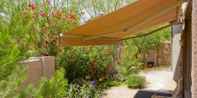 Evergreen plants on patio with an overhead shade cloth