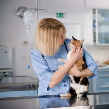 Veterinarian Moon Mobile Veterinary Service