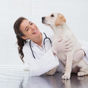 Vet with puppy