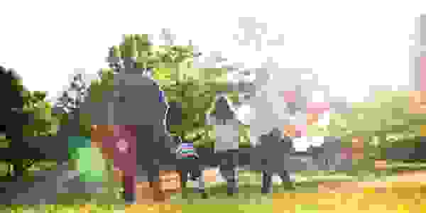 physical therapy in near holtsville farmingville ronkonkoma holbrook centereach selden portion road