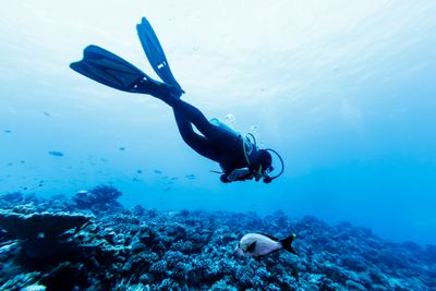 scuba diving certification class course