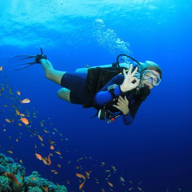 Scuba diver underwater giving OK sign near coral and fish.