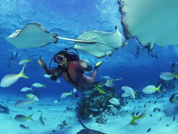 Guided Snorkeling Trip in Maldives adventure activities 