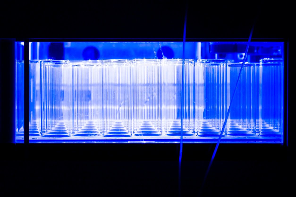 L.A.V. Drug Testing Company