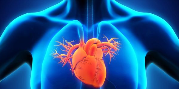 Our big hearts keep yours going!