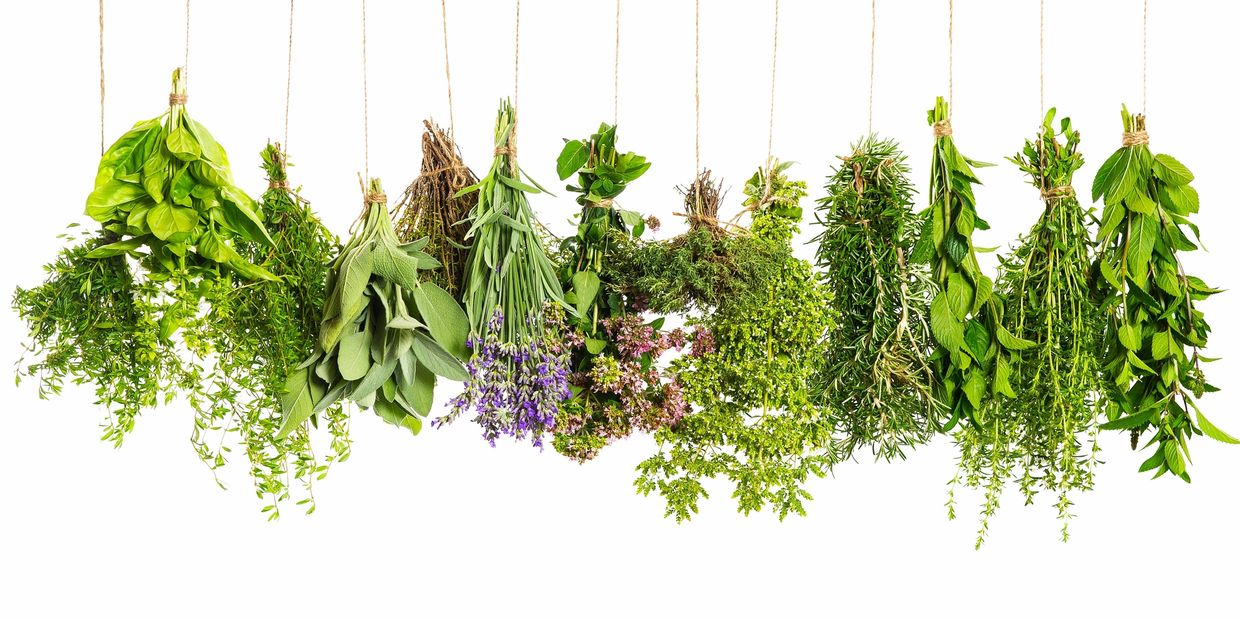 naturopathic-herbal-medicine-herbs