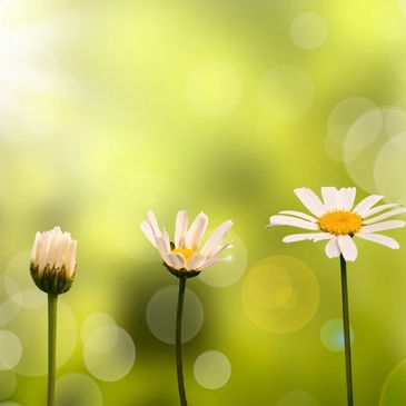 Personal growth