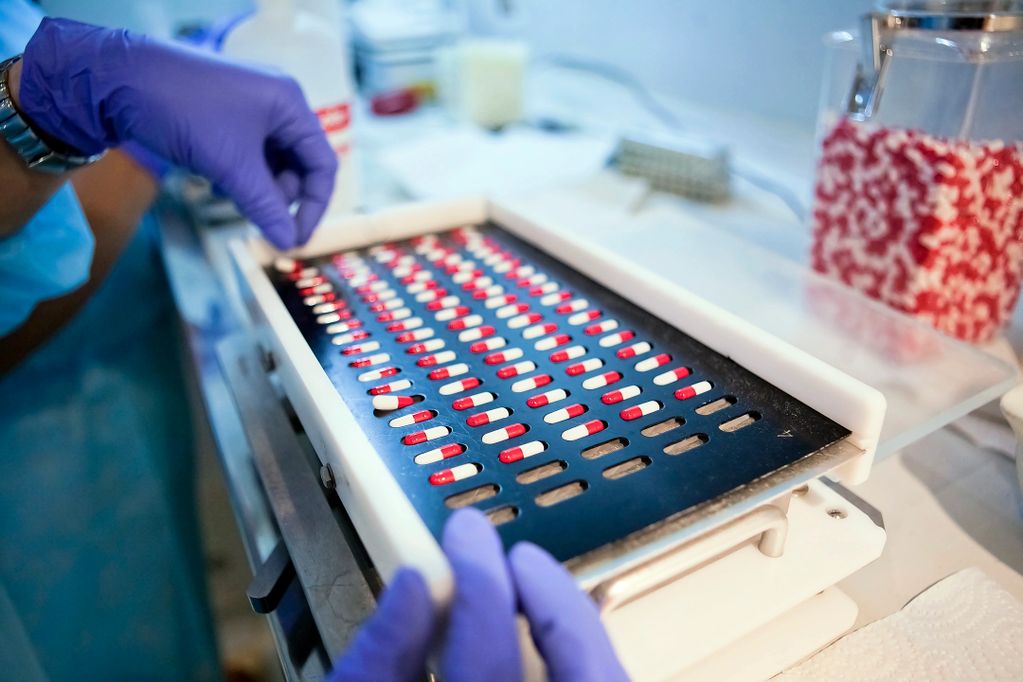 Gloved hands handling red and white capsules on a pill sorting tray in a lab.