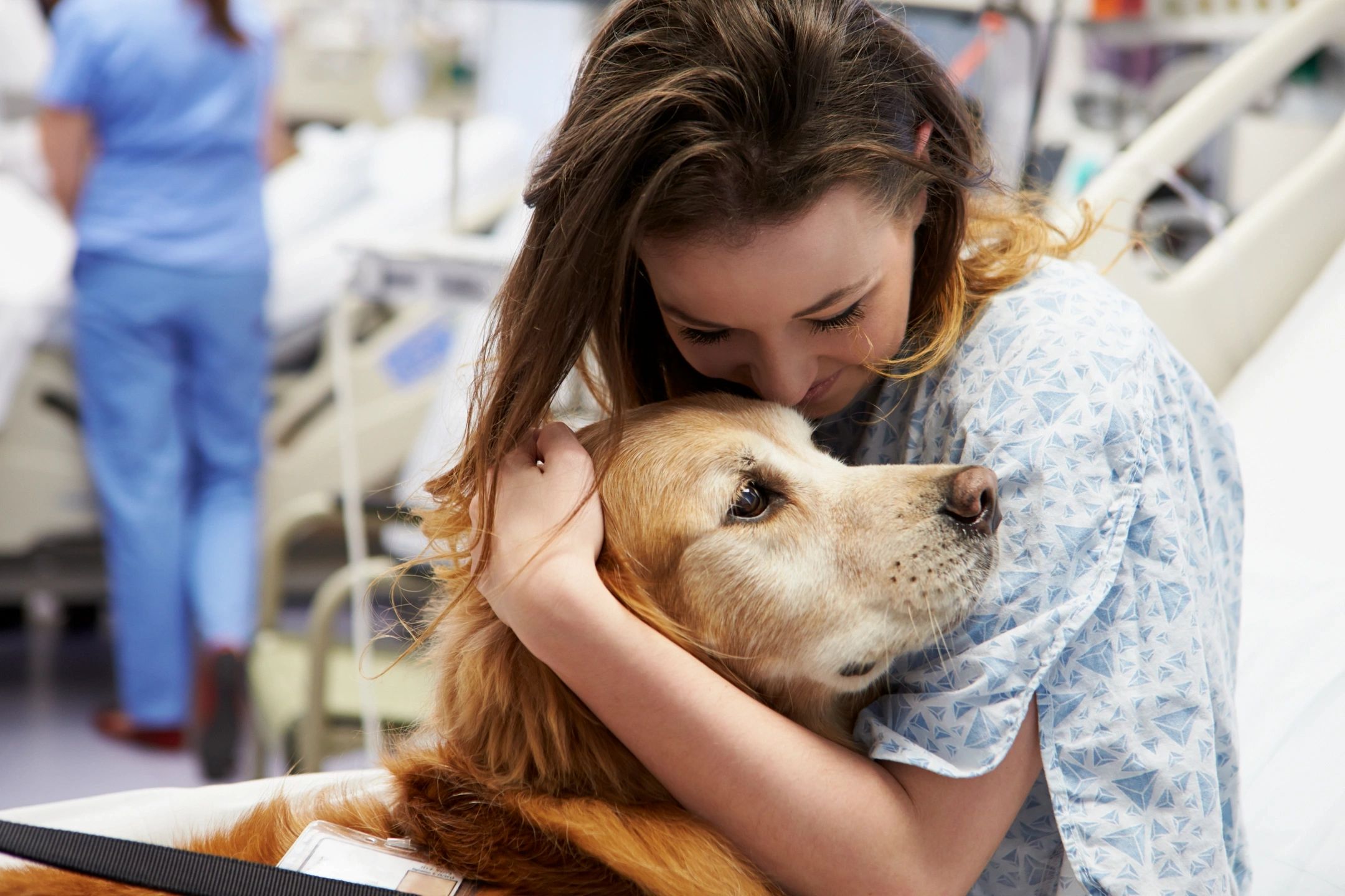Sweet older golden retriever trained to let someone hug her at a hospital.  