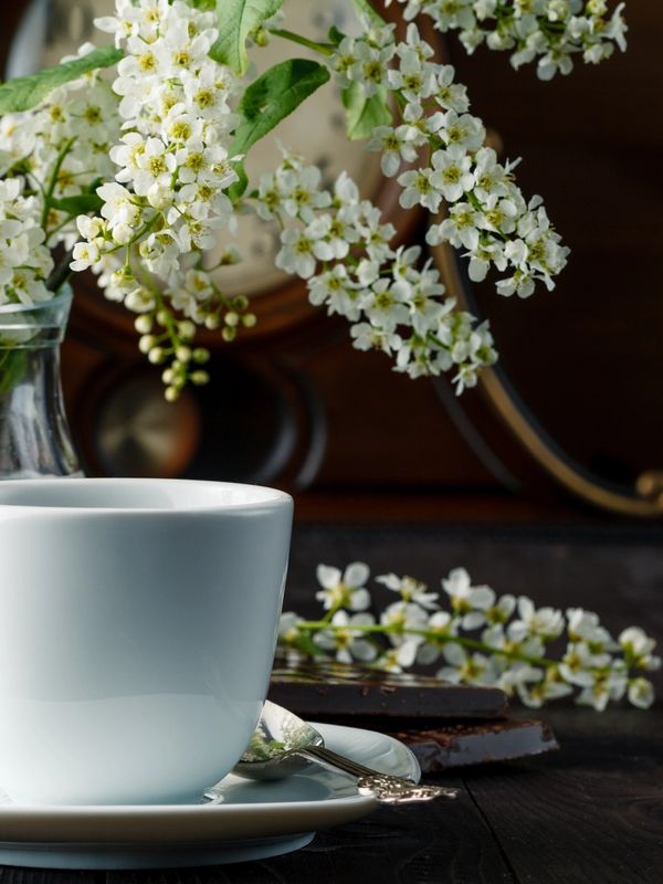 White flowers in a vase beside a white cup and saucer with a spoon.
