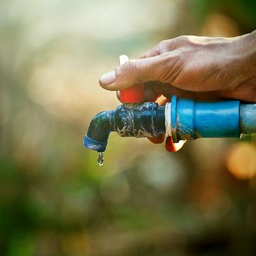 water spigot for watering outdoor gardens
