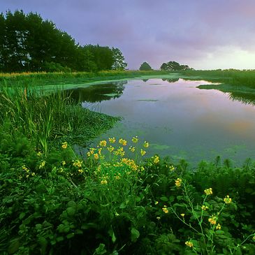 Pond Management specialist in Raleigh, North Carolina.