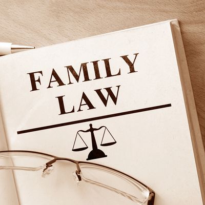 Streamlined virtual document management for efficient family law practice.