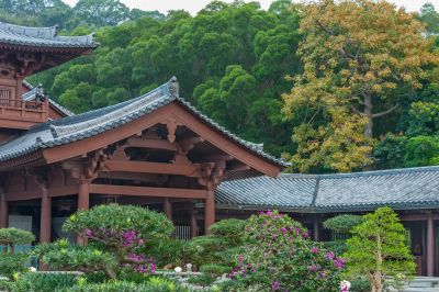 Traditional Japanese-style wooden building surrounded by lush greenery.