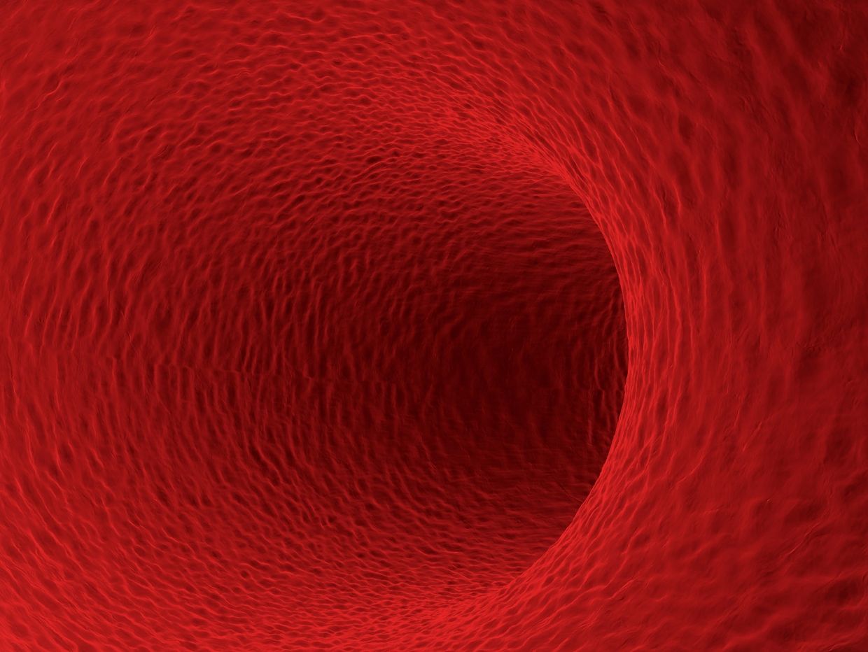 Close-up view of a red, textured tunnel resembling an organic structure.