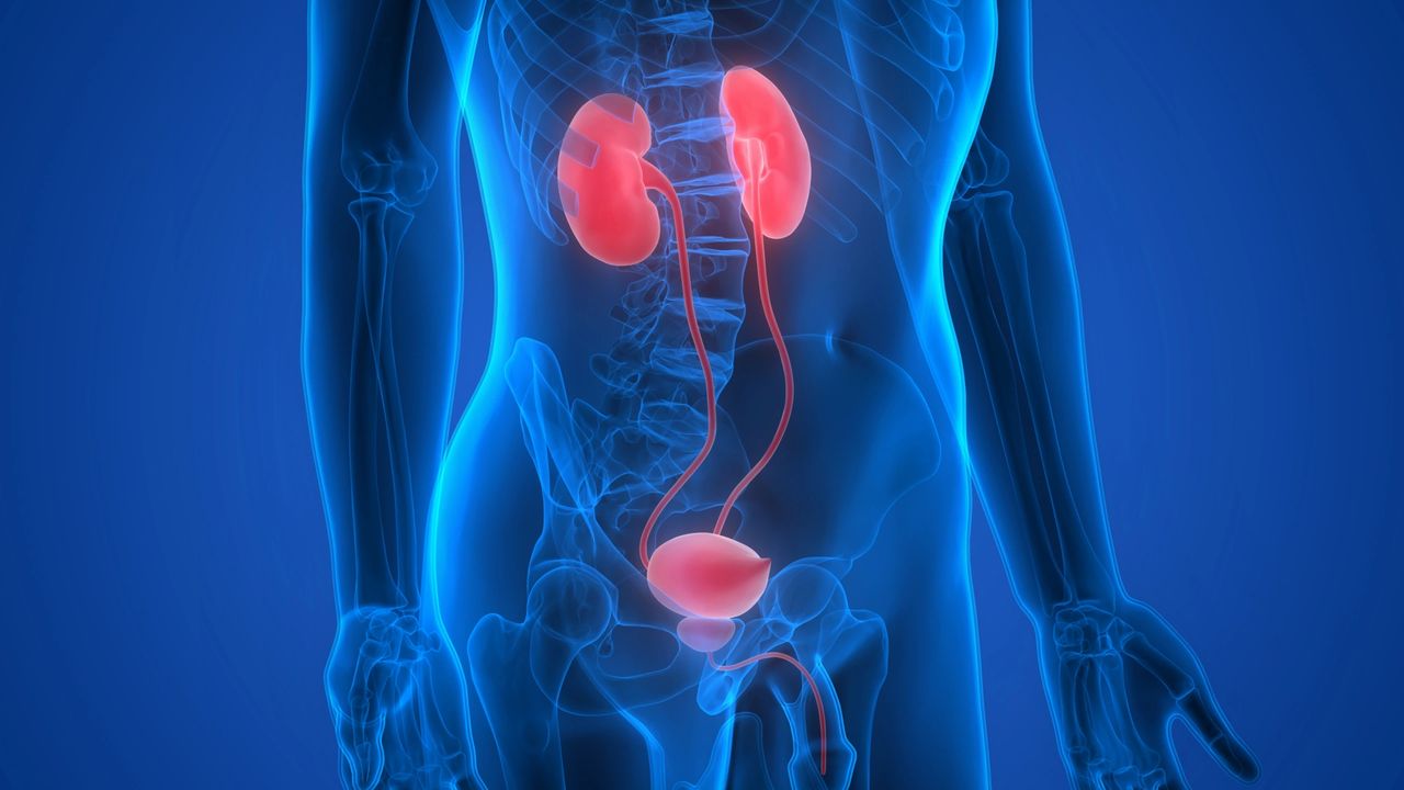 Got gallstones? Be cautious — turmeric may worsen the pain instead of easing it.