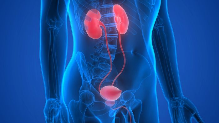 KIDNEY STONE TREATMENT BY ESWL, LITHOTRIPSY, RIRS, URS, PCNL, BLADDER STONE, TURP
PROSTATE SURGERY